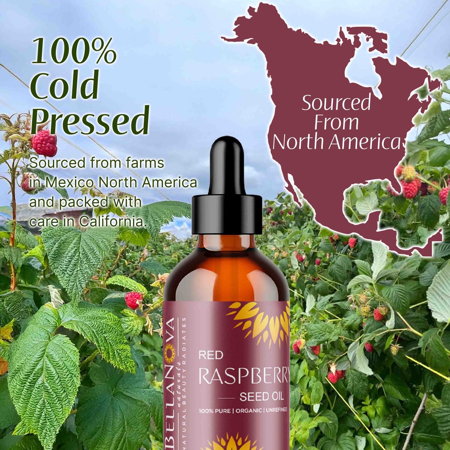Red Raspberry Oil