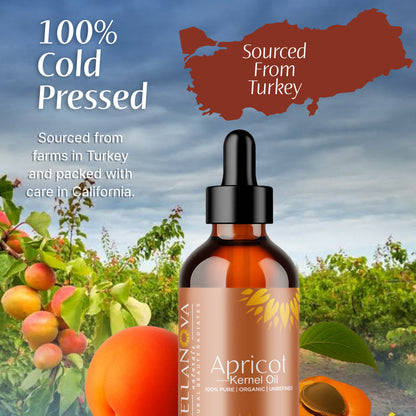 Apricot Kernel Oil | Cold-Pressed