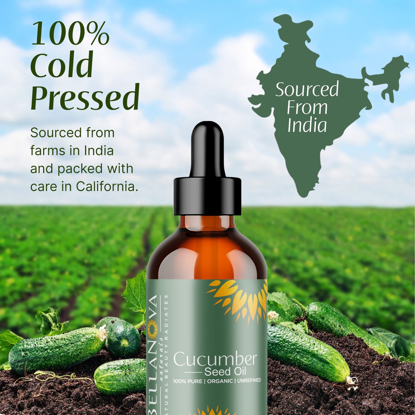Cucumber Oil Unrefined Cold-Pressed – Nourish Skin & Hair Naturally