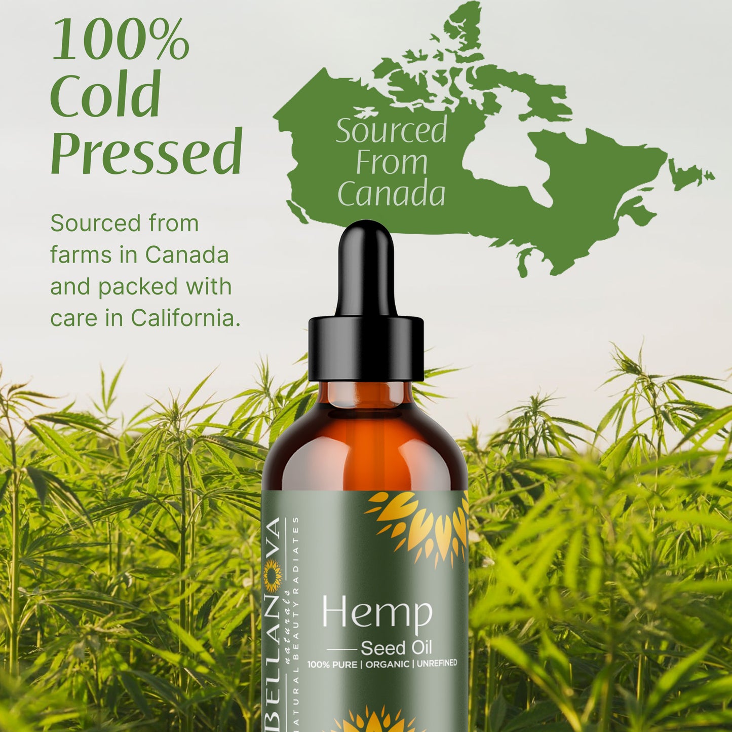 Hemp Seed Oil | Cold-Pressed Unrefined Oil for Skincare & Haircare