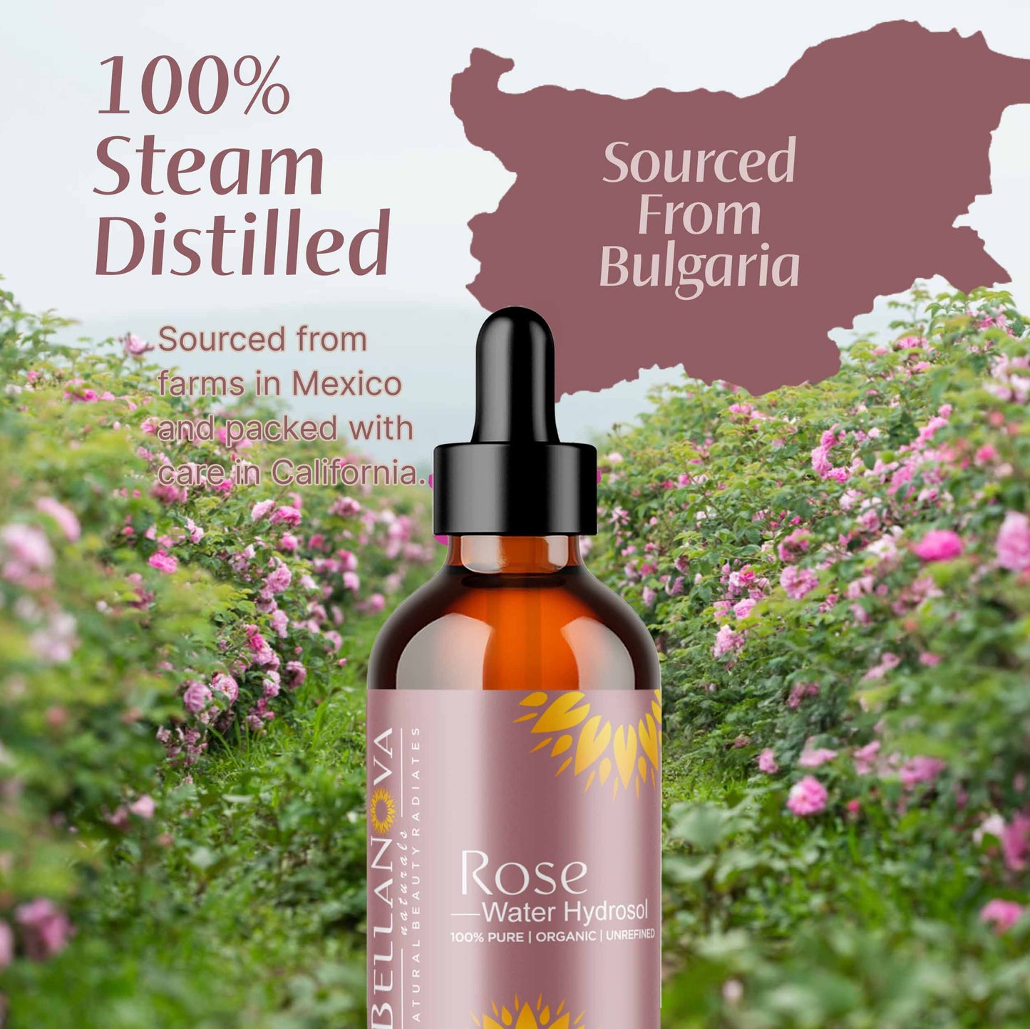 Rose Water Hydrosol Organic