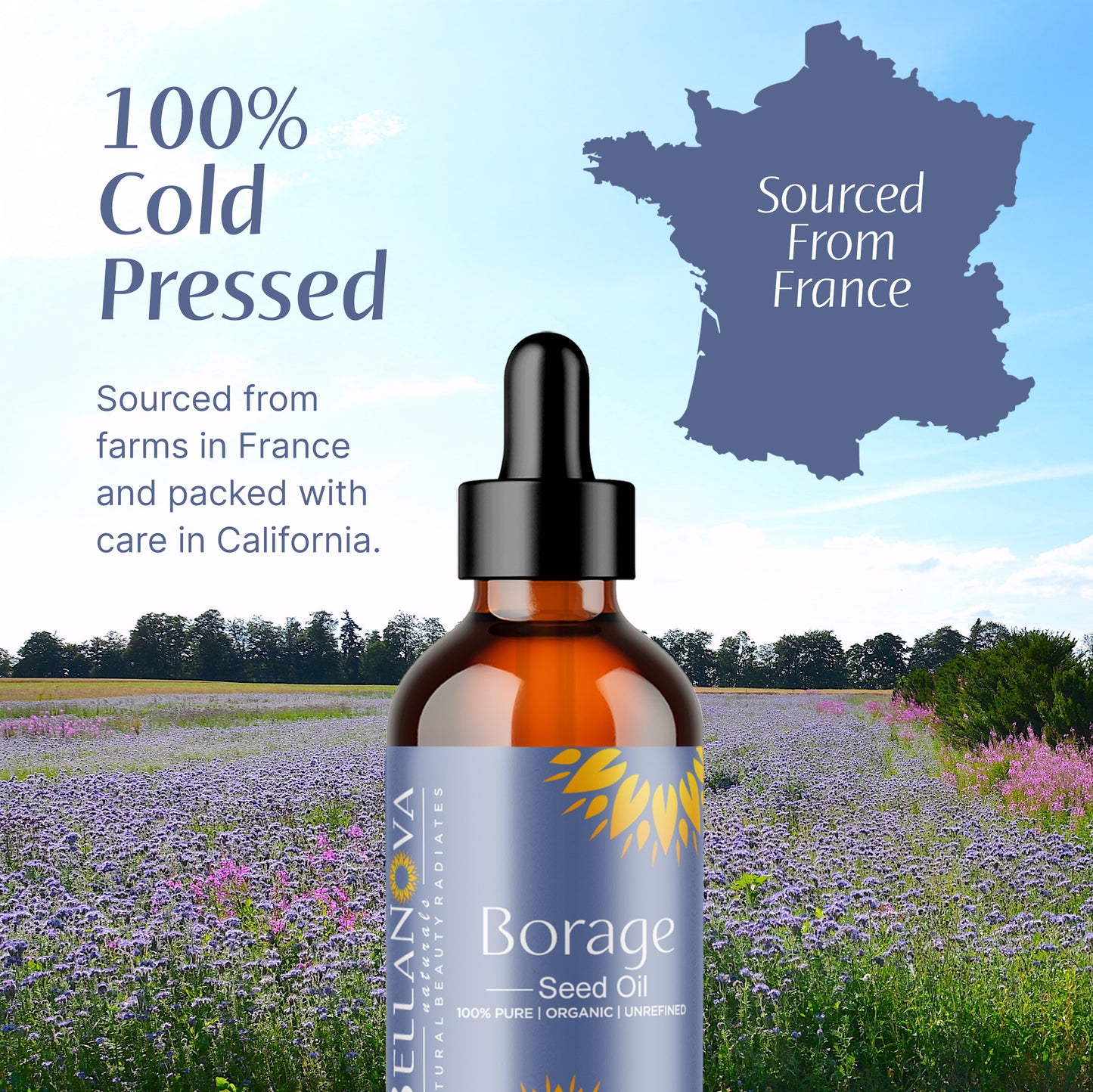 Borage Seed Oil, Organic, Cold-Pressed, Pure Oil for Beauty & Wellness