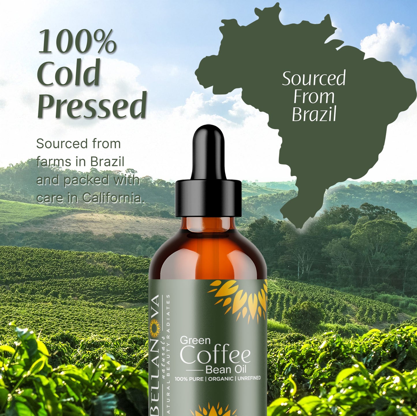 Green Coffee Bean Oil | Cold-Pressed Organic Oil for Skincare & Haircare