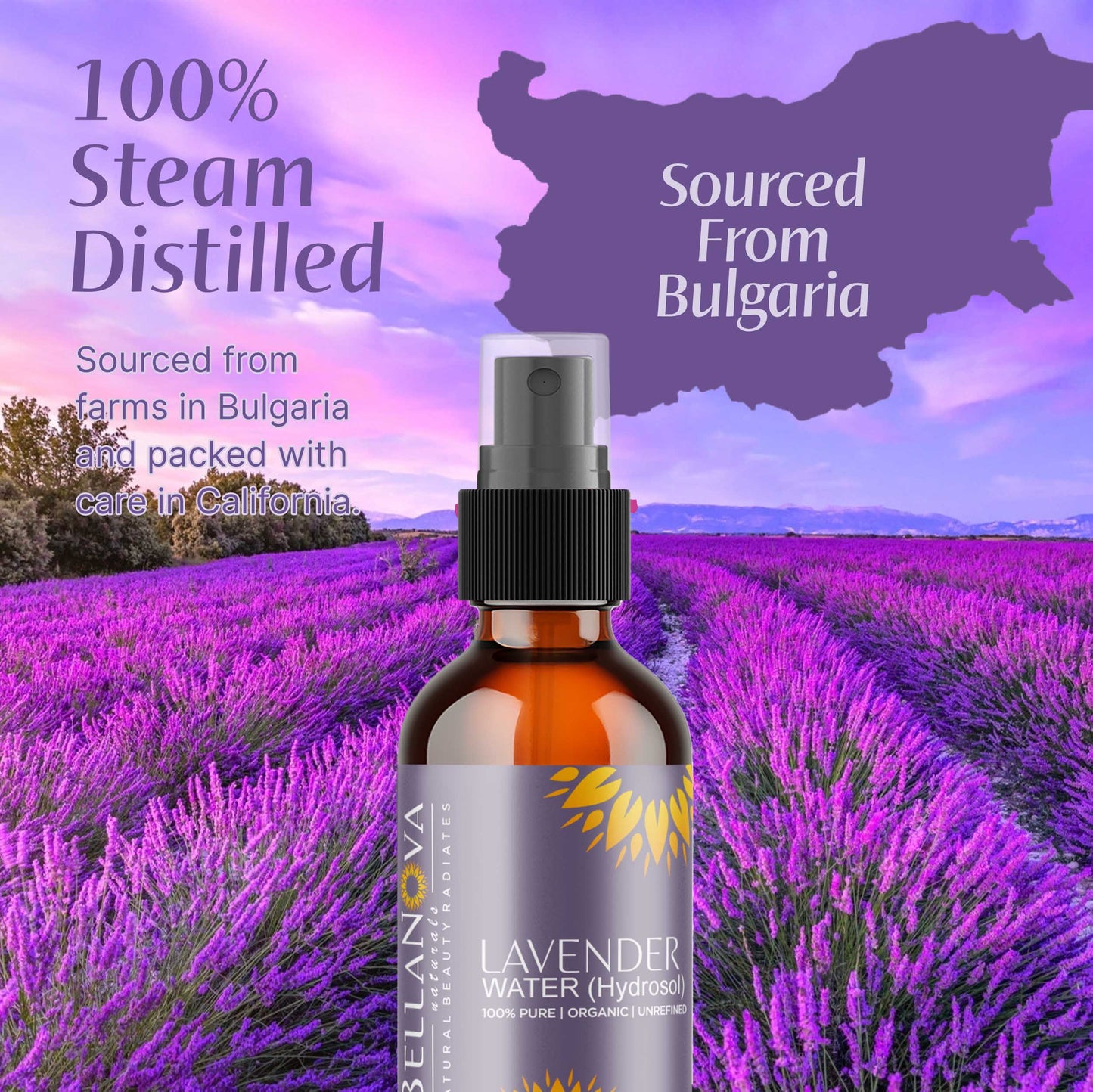 Organic Lavender Hydrosol – Calm, Hydrate & Revitalize Skin