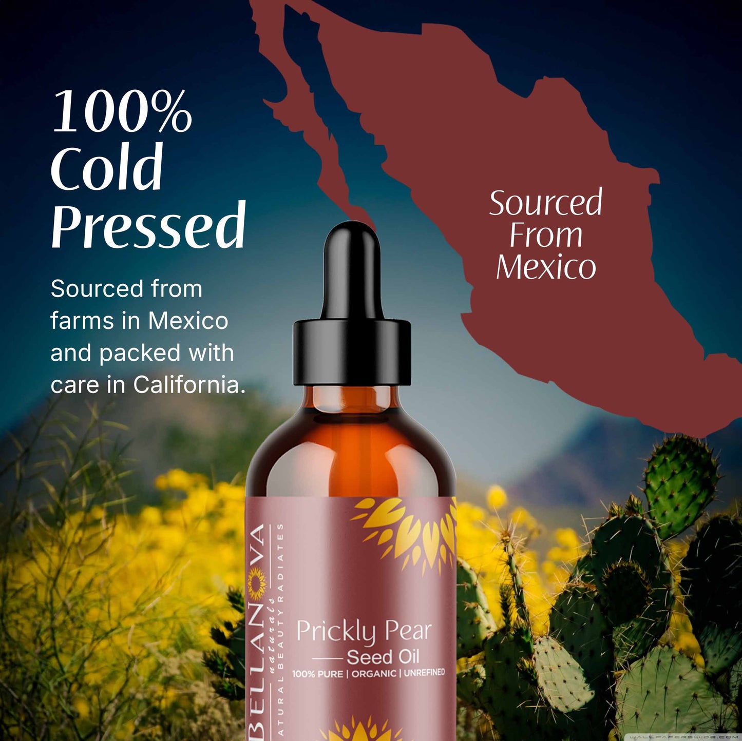 Prickly Pear Oil