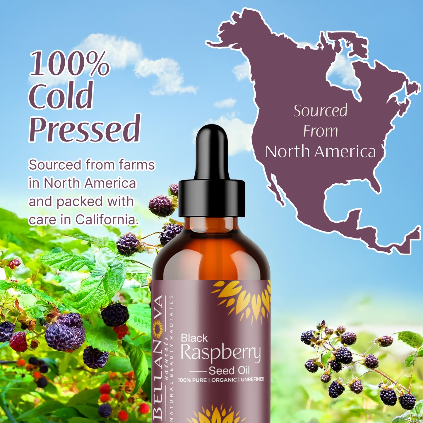 Black Raspberry Seed Oil - | Cold-Pressed Oil for Skincare, Haircare