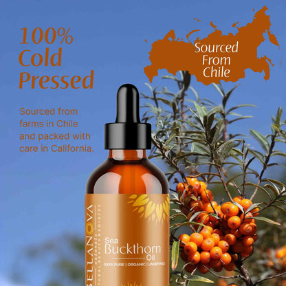 Sea Buckthorn Oil