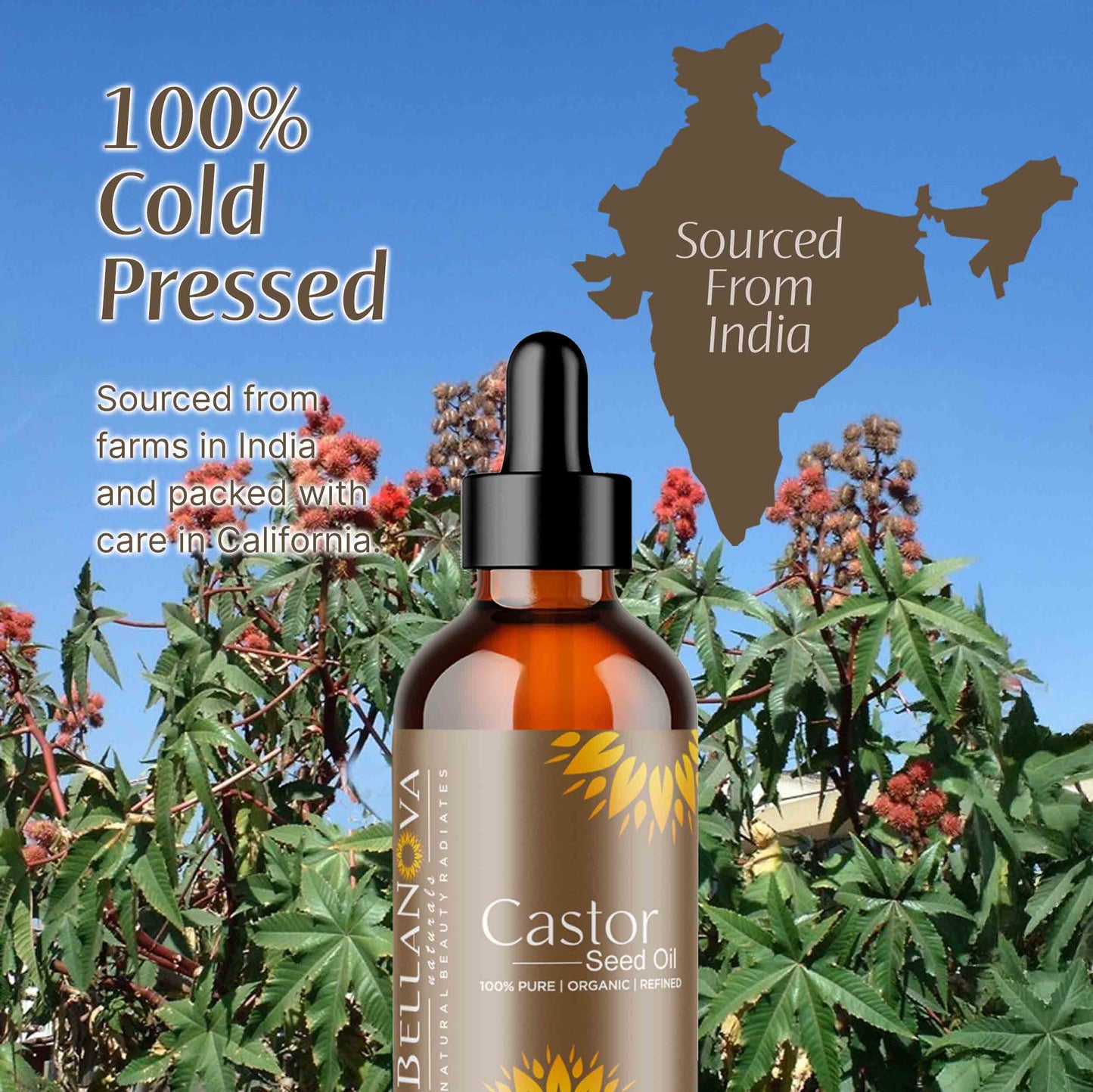 Castor Oil Unrefined Cold-Pressed – Nourish Skin & Hair Naturally
