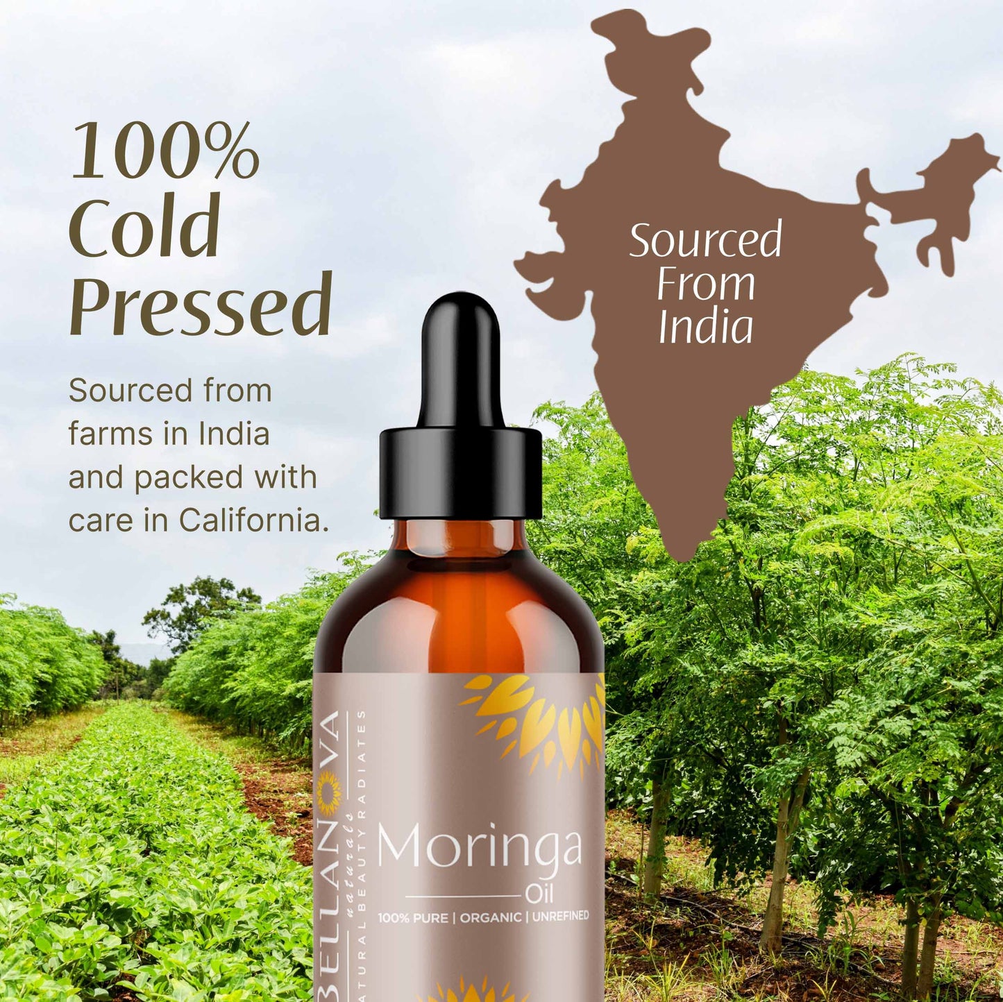 Moringa oil  Organic Cold-Pressed – Nourish Skin & Hair Naturally