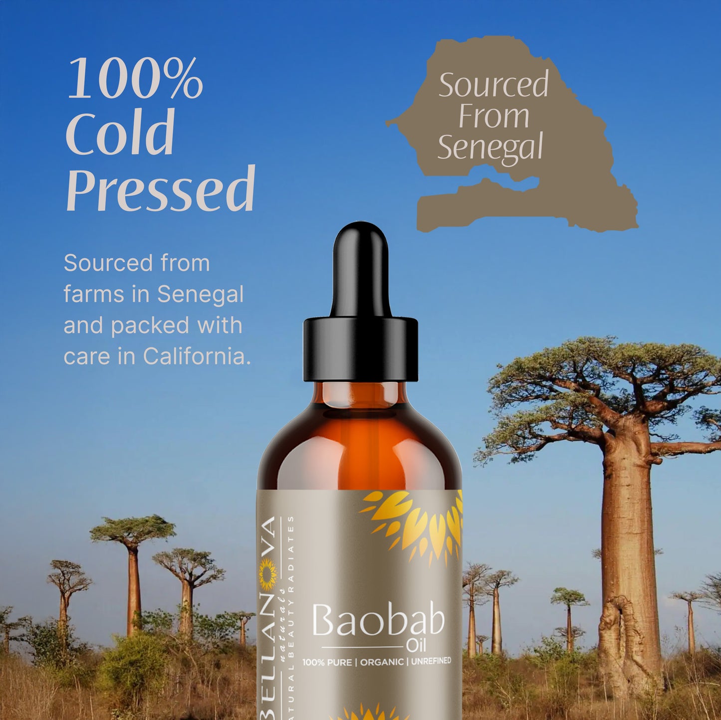 Baobab Oil | Cold-Pressed Unrefined Oil for Skincare & Haircare