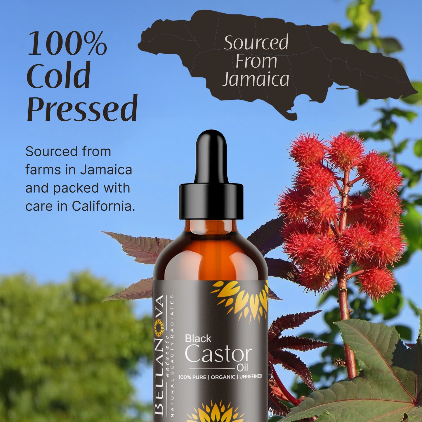 Black Castor Oil | Cold-Pressed Premium Oil for Skincare & Haircare