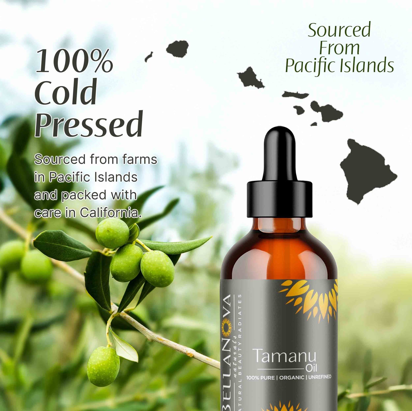 Tamanu Oil | Unrefined Organic Oil for Skincare & Haircare