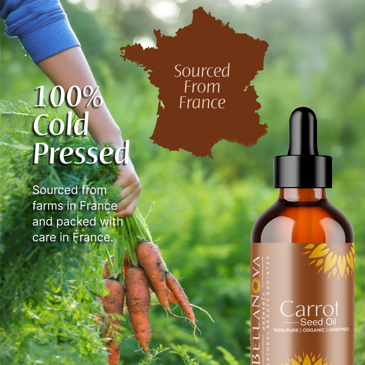 Carrot Oil Unrefined Cold-Pressed – Nourish Skin & Hair Naturally