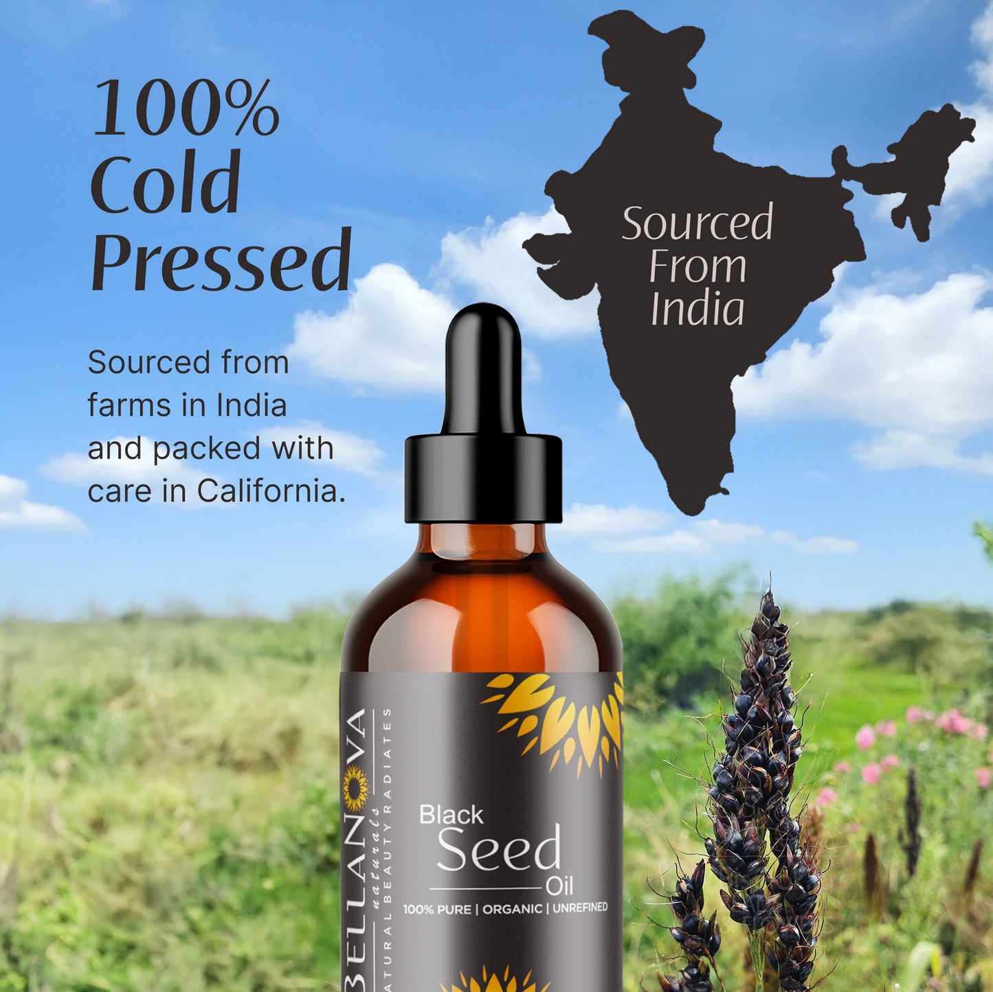 Black seed Oil Unrefined Cold-Pressed – Nourish Skin & Hair Naturally