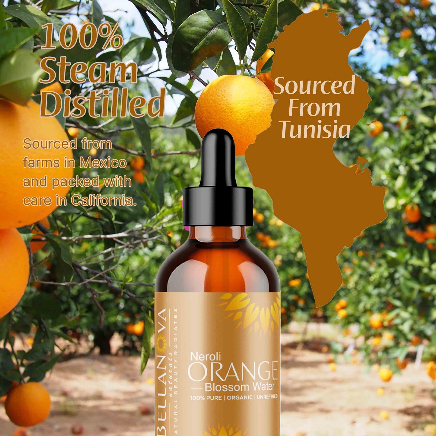 Organic Neroli Orange Blossom Hydrosol – Uplift, Tone & Revive Skin