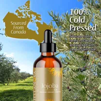 Jojoba Oil | Unrefined Organic Oil for Skincare & Haircare