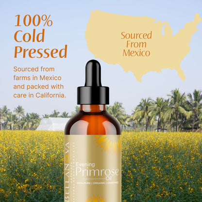 Evening Primrose Oil