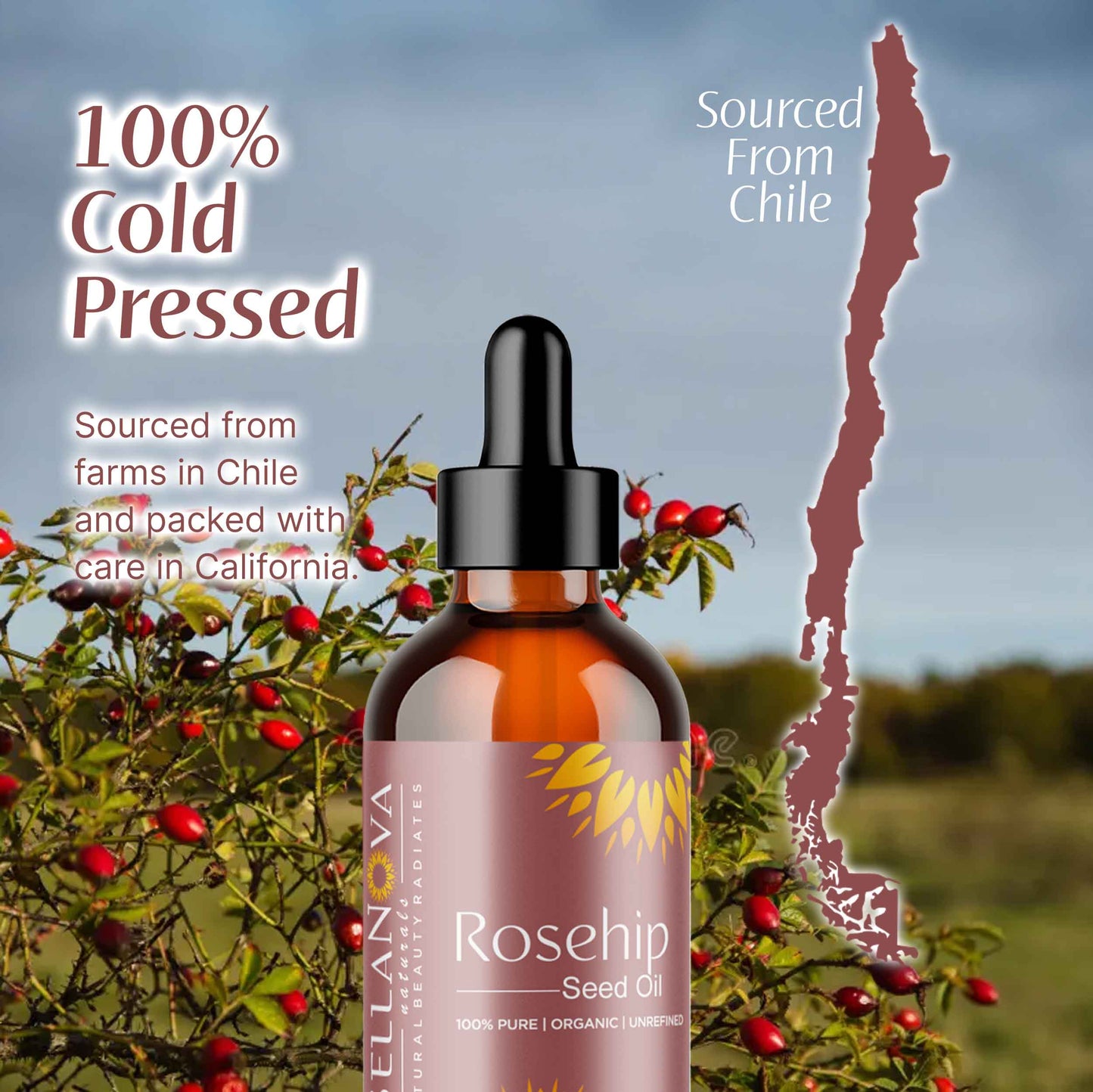 Rosehip Oil Unrefined Cold-Pressed – Nourish Skin & Hair Naturally